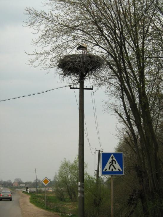 Великий Любінь з panoramio.com - Великий Любінь