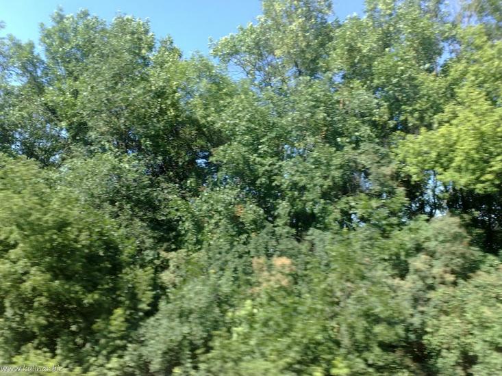 Балабине з panoramio.com - Балабино