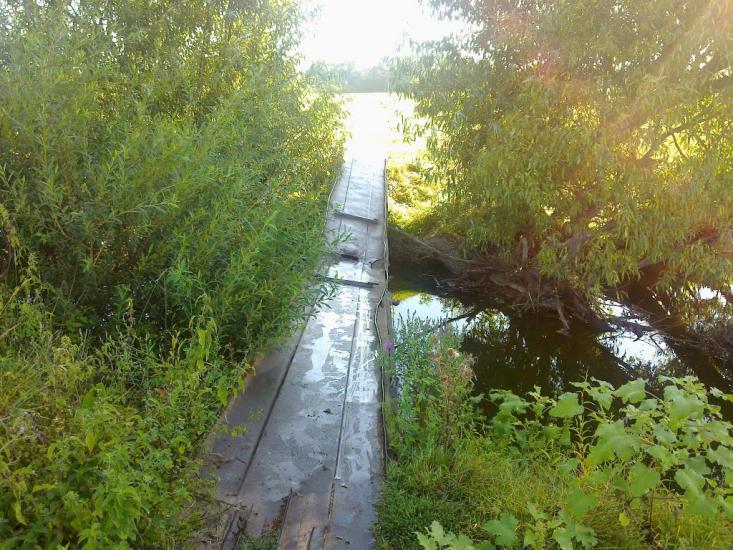 Сорока з panoramio.com - Сорока