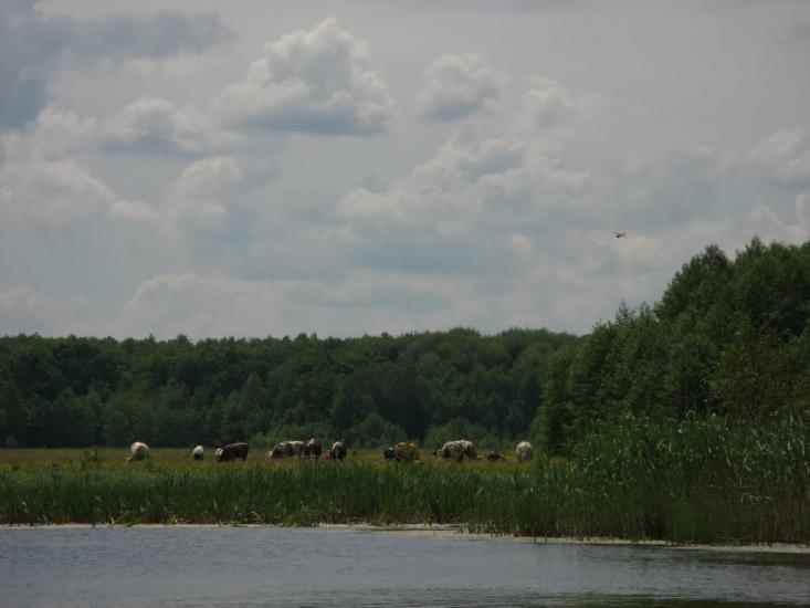 Красноград з panoramio.com - Krasnograd