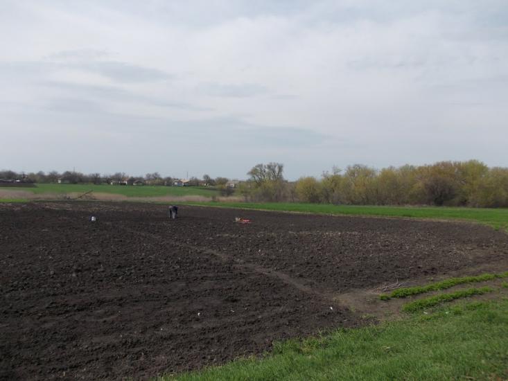 Червоний Орлик з panoramio.com - Chervonyy Orlyk