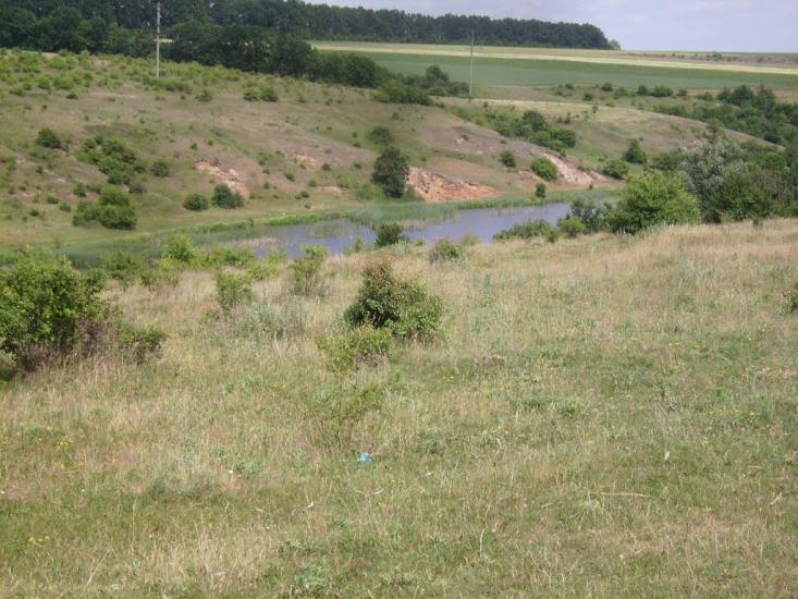 Велика Киріївка з panoramio.com - Большая Киреевка