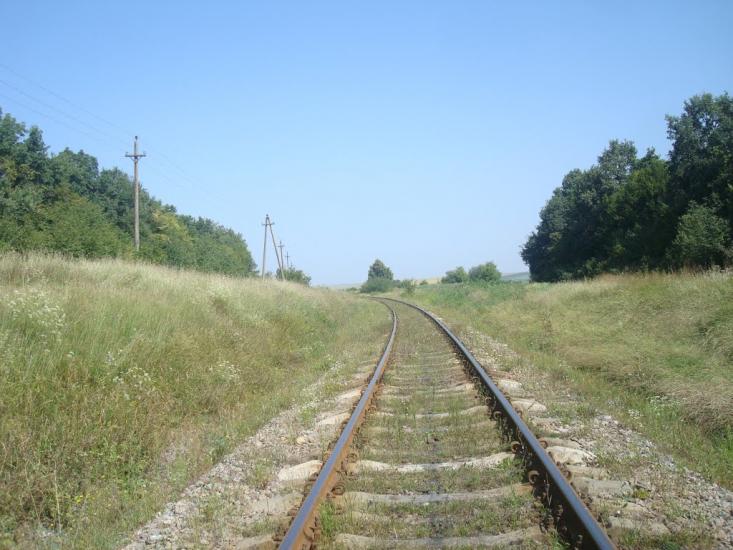 Тарасівка з panoramio.com - Тарасовка