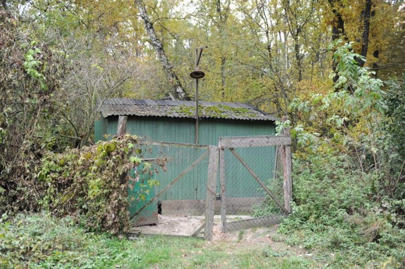 Заріччя з panoramio.com - Заречье