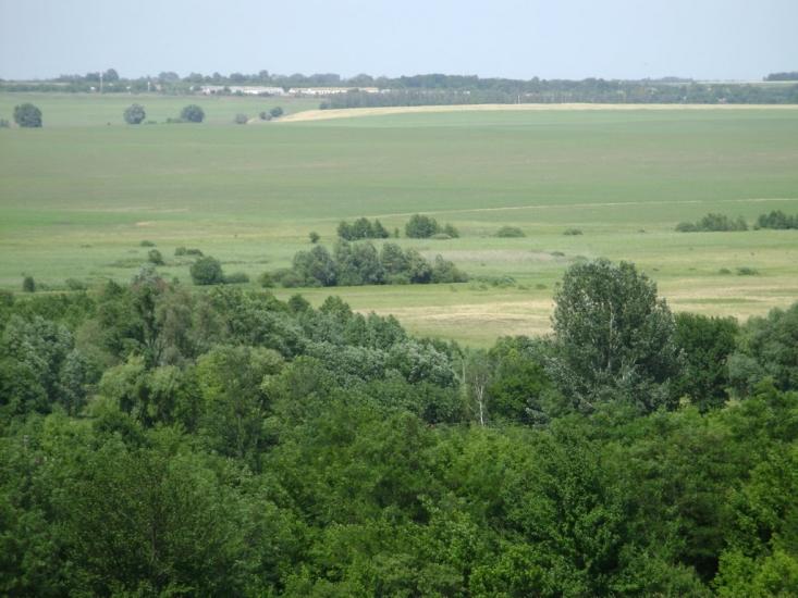 Брагинці з panoramio.com - Брагинцы