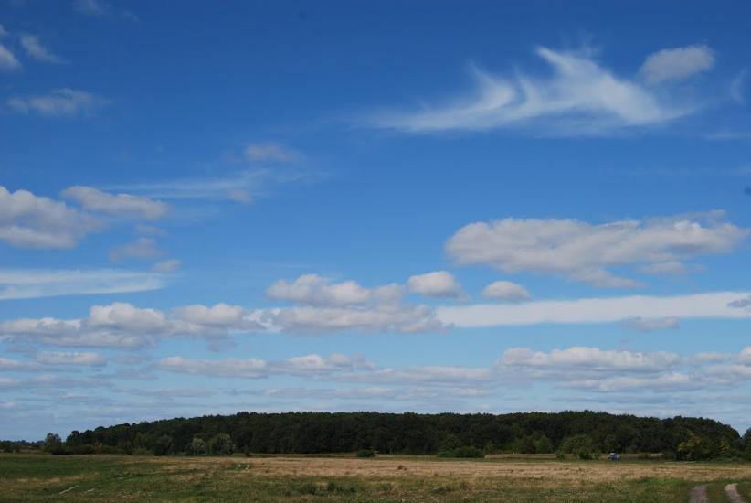 Ждани з panoramio.com - Ждани