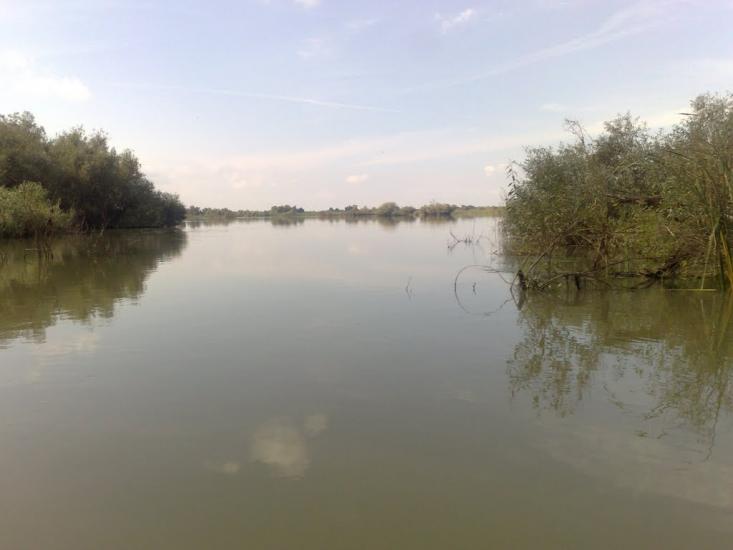Дунайське з panoramio.com (ч.2) - Дунайське