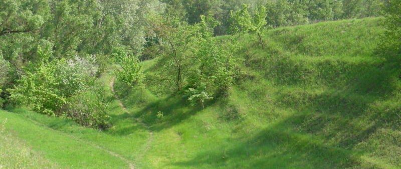 Сиротенки з panoramio.com - Сиротенки