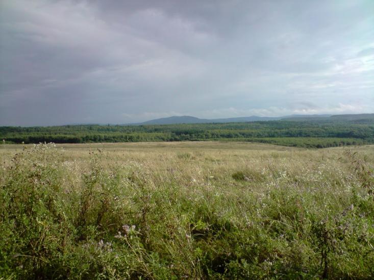 Болозів з panoramio.com - Болозів