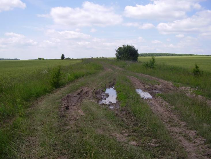 Коржівці з panoramio.com - Korzhivtsi