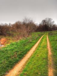 Токарівка з panoramio.com