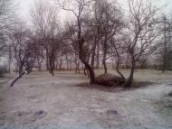 Панчищини з panoramio.com