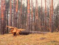 Кримка з panoramio.com