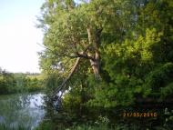 Червоні Партизани з panoramio.com