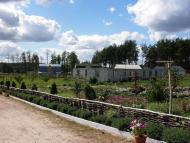 Чоповичі з panoramio.com