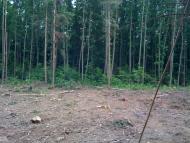 Карпівці з panoramio.com