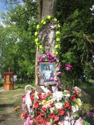 Половинники з panoramio.com