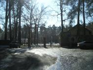 Проліски з panoramio.com