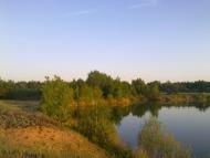 Діброва з panoramio.com