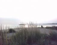 Піонерське з panoramio.com