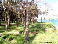 Єлизаветівка з panoramio.com