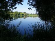 Мошурів з panoramio.com