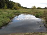 Скригалівка з panoramio.com