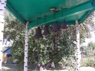 Чаплине з panoramio.com