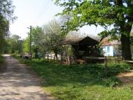 Яблуневе з panoramio.com