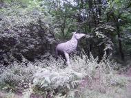 Сокирна з panoramio.com