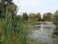 Пугачівка з panoramio.com