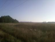 Підстепне з panoramio.com