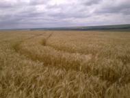 Юр'ївка з panoramio.com