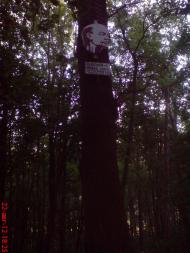 Іволжанське з panoramio.com