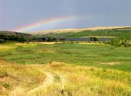 Дубове з panoramio.com