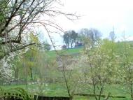 Чижки з panoramio.com