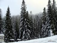 Верхнє з panoramio.com