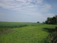 Половинники з panoramio.com