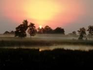 Жари з panoramio.com