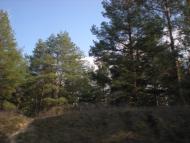 Підстепне з panoramio.com