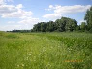 Червоні Партизани з panoramio.com