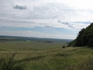 Мечищів з panoramio.com