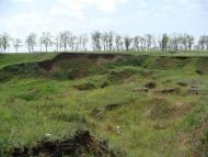 Скелювате - Останні фото