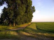 Посад з panoramio.com