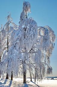 Красне з panoramio.com