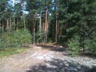 Волиця з panoramio.com