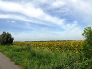 Людвинівка з panoramio.com