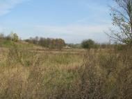 Дадакалівка з panoramio.com