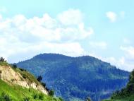 Явора з panoramio.com