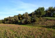 Балабине з panoramio.com